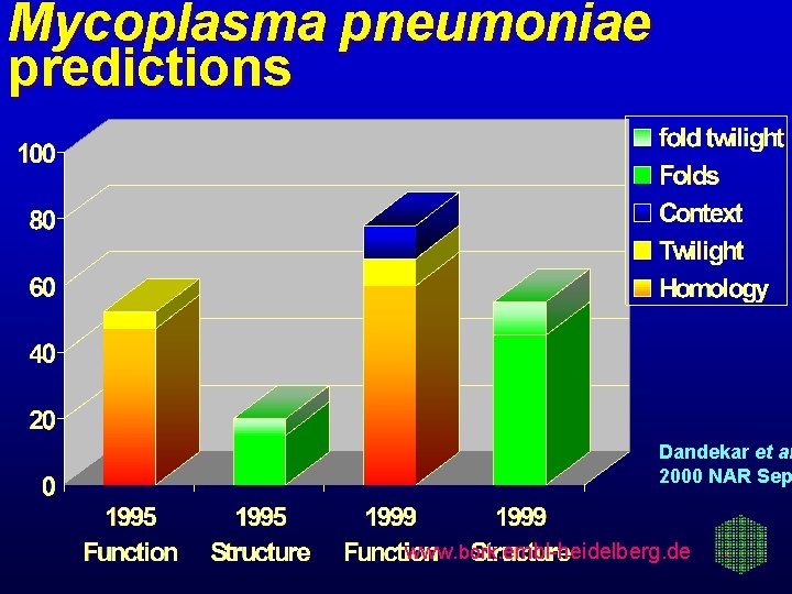 Mycoplasma pneumoniae predictions Dandekar et al 2000 NAR Sep www. bork. embl-heidelberg. de 