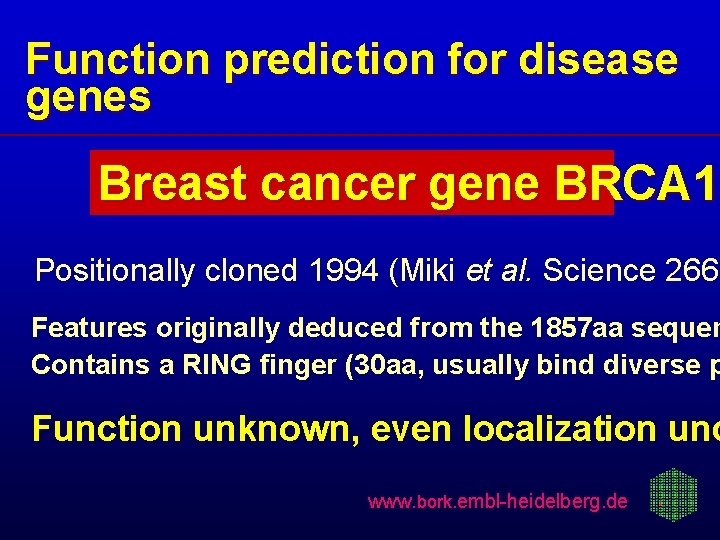 Function prediction for disease genes Breast cancer gene BRCA 1 Positionally cloned 1994 (Miki