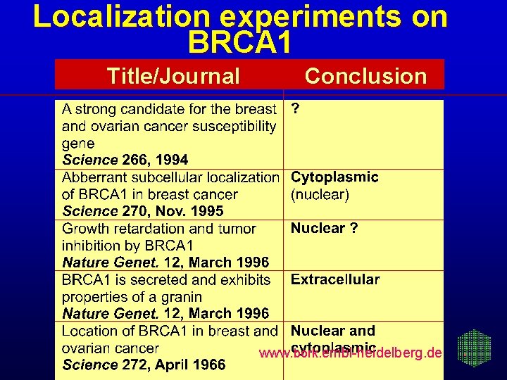 Localization experiments on BRCA 1 Title/Journal Conclusion www. bork. embl-heidelberg. de 