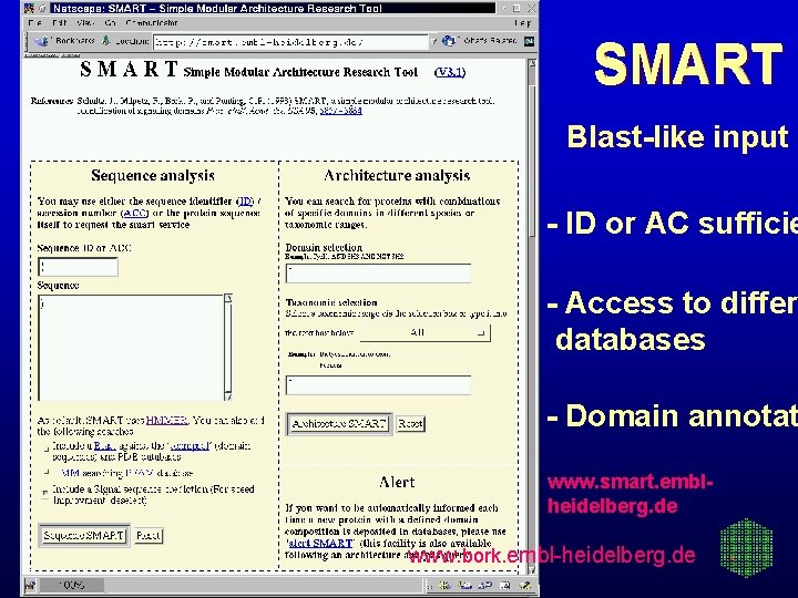 SMART Blast-like input - ID or AC sufficie - Access to differ databases -