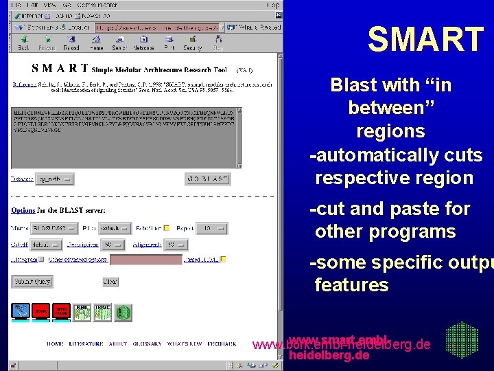 SMART Blast with “in between” regions -automatically cuts respective region -cut and paste for