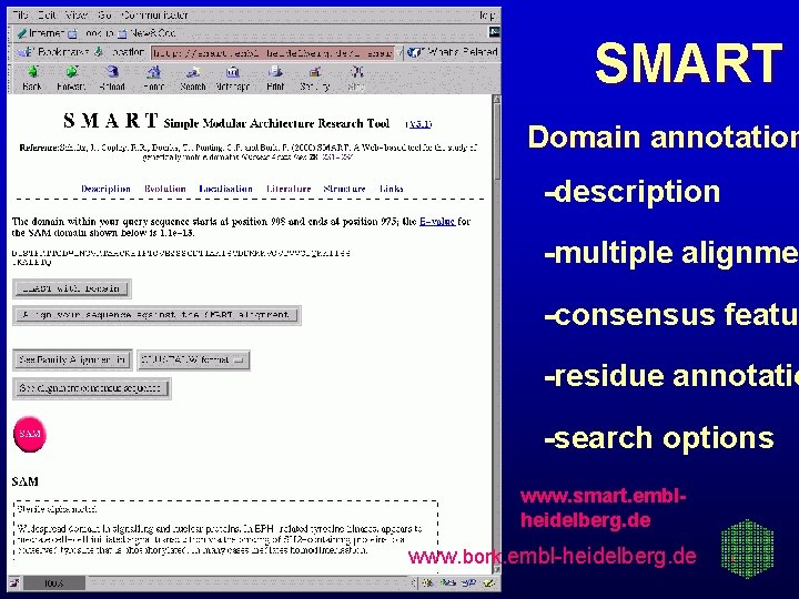 SMART Domain annotation -description -multiple alignmen -consensus featur -residue annotatio -search options www. smart.