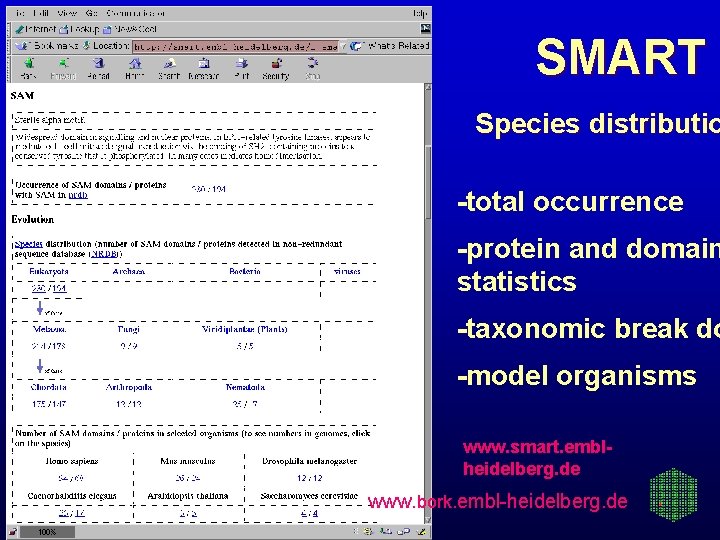 SMART Species distributio -total occurrence -protein and domain statistics -taxonomic break do -model organisms