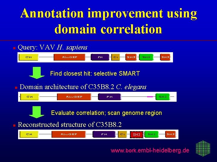 Annotation improvement using domain correlation n Query: VAV H. sapiens Find closest hit: selective