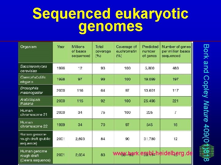 Sequenced eukaryotic genomes Bork and Copley Nature 409(01)818 www. bork. embl-heidelberg. de 