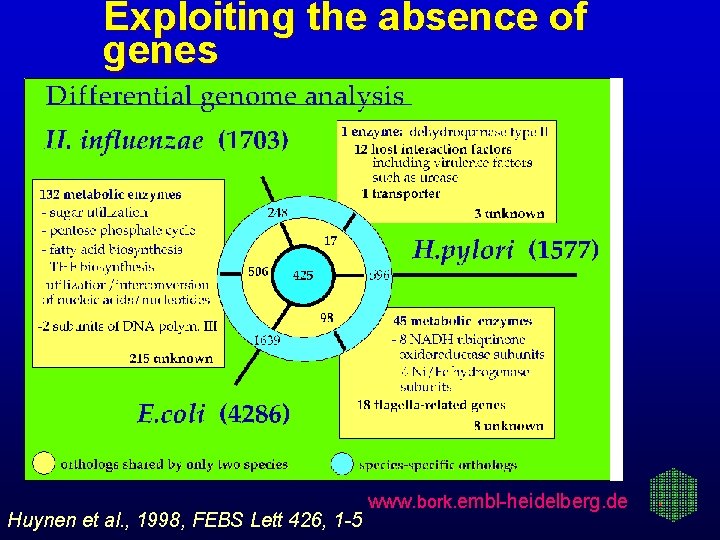 Exploiting the absence of genes Huynen et al. , 1998, FEBS Lett 426, 1
