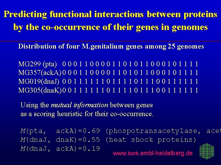 Predicting functional interactions between proteins by the co-occurrence of their genes in genomes Distribution