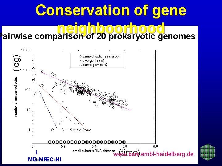 (log) Conservation of gene neighboorhood Pairwise comparison of 20 prokaryotic genomes o o o