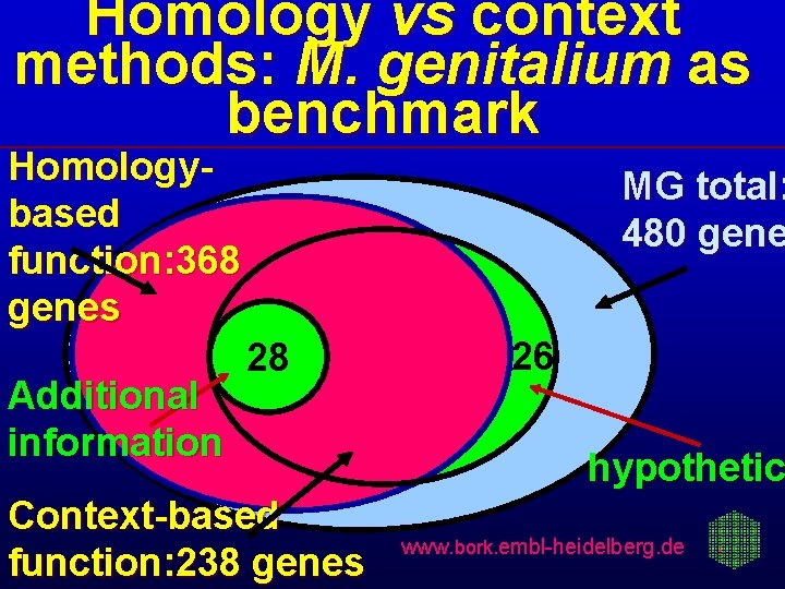 Homology vs context methods: M. genitalium as benchmark Homologybased function: 368 genes Additional information