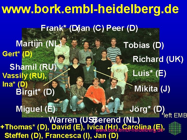 www. bork. embl-heidelberg. de Frank* (D) Yan (C) Peer (D) Martijn (NL) Gert* (D)