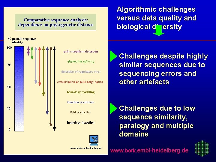 Algorithmic challenges versus data quality and biological diversity Challenges despite highly similar sequences due