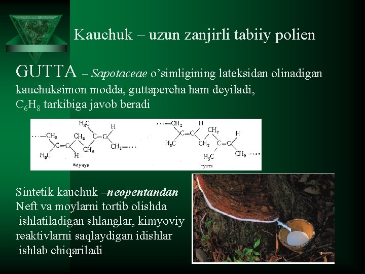  Kauchuk – uzun zanjirli tabiiy polien GUTTA – Sapotaceae o’simligining lateksidan olinadigan kauchuksimon