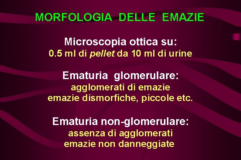 MORFOLOGIA DELLE EMAZIE Microscopia ottica su: 0. 5 ml di pellet da 10 ml