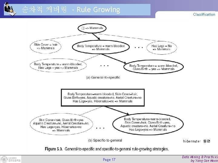 순차적 커버링 - Rule Growing Classification hibernate: 동면 Page 17 Data Mining & Practices 순차적 커버링 - Rule Growing Classification hibernate: 동면 Page 17 Data Mining & Practices