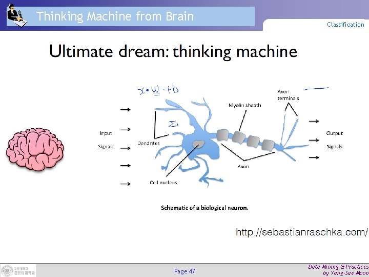 Thinking Machine from Brain Page 47 Classification Data Mining & Practices by Yang-Sae Moon Thinking Machine from Brain Page 47 Classification Data Mining & Practices by Yang-Sae Moon