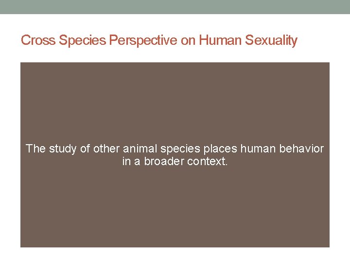 Cross Species Perspective on Human Sexuality The study of other animal species places human