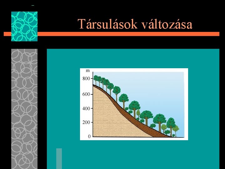 Társulások változása 