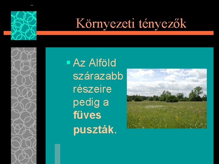 Környezeti tényezők § Az Alföld szárazabb részeire pedig a füves puszták. 