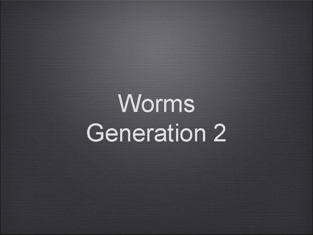 Worms Generation 2 