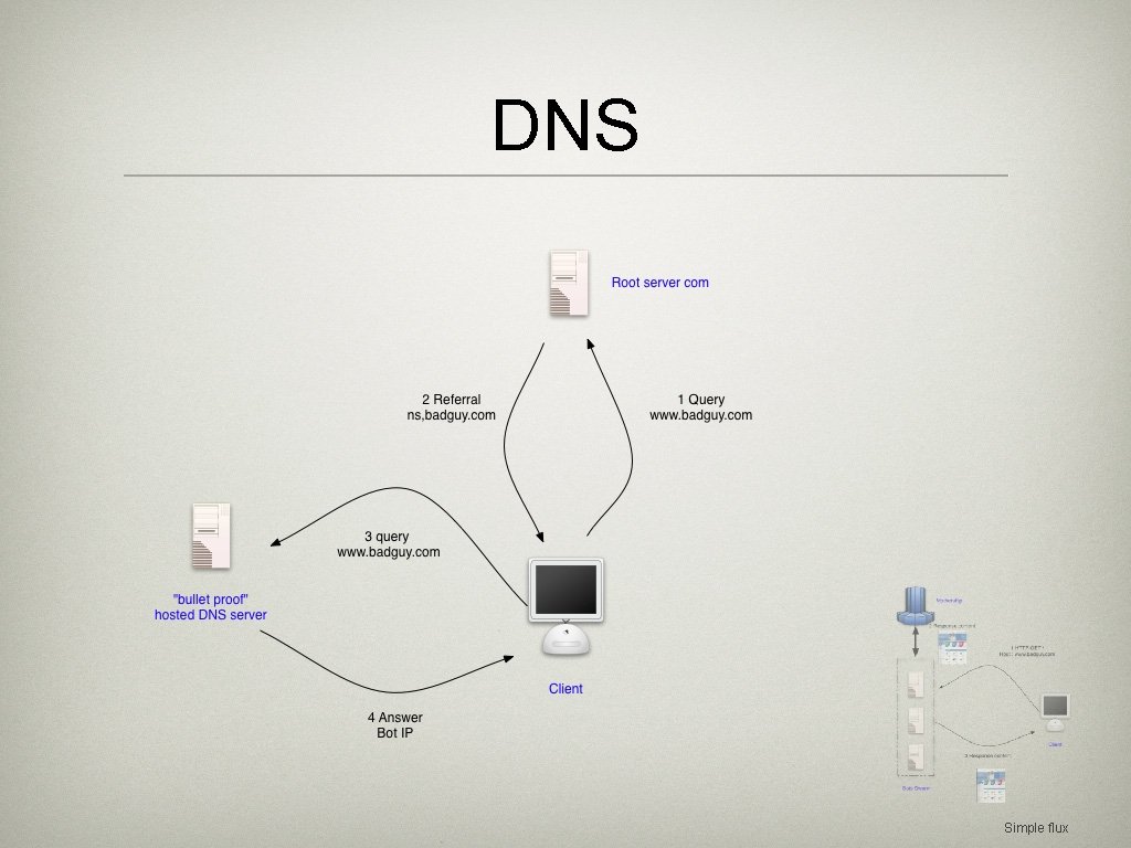 DNS Simple flux 