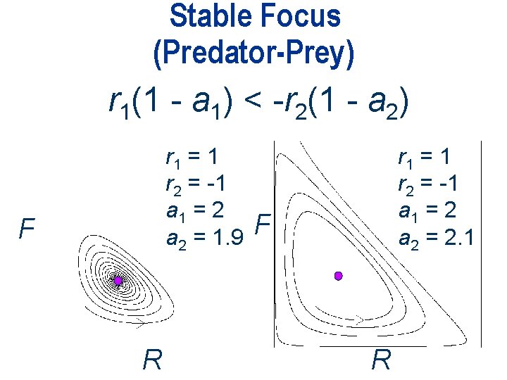 Stable Focus (Predator-Prey) r 1(1 - a 1) < -r 2(1 - a 2)