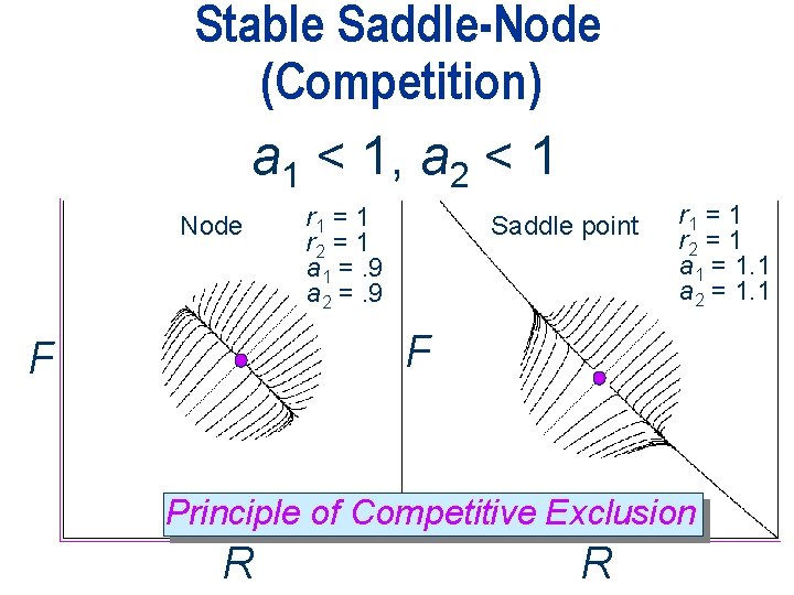 Stable Saddle-Node (Competition) a 1 < 1, a 2 < 1 Node r 1