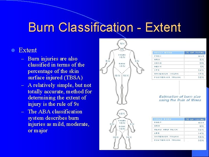 Burn Classification - Extent l Extent – Burn injuries are also classified in terms
