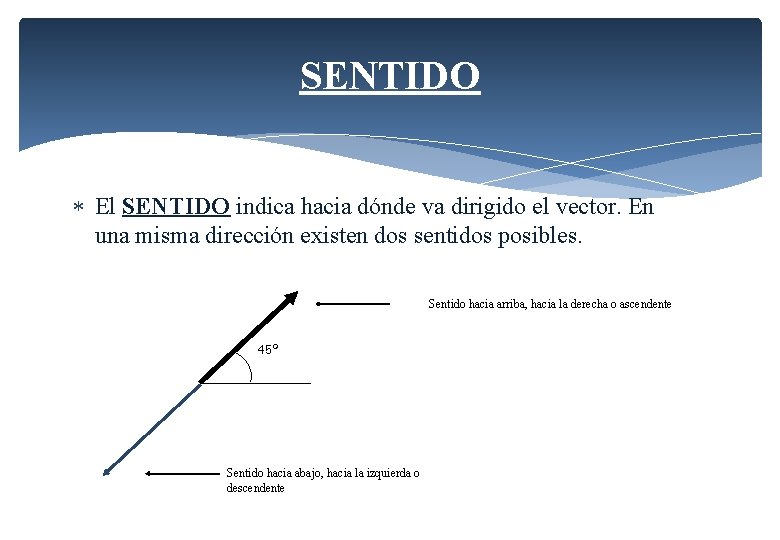 SENTIDO El SENTIDO indica hacia dónde va dirigido el vector. En una misma dirección SENTIDO El SENTIDO indica hacia dónde va dirigido el vector. En una misma dirección
