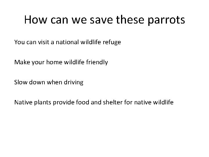 How can we save these parrots You can visit a national wildlife refuge Make