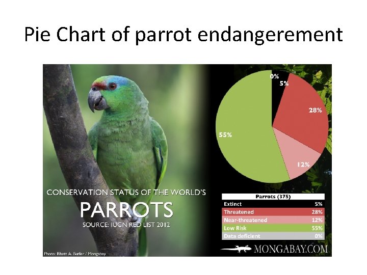 Pie Chart of parrot endangerement 