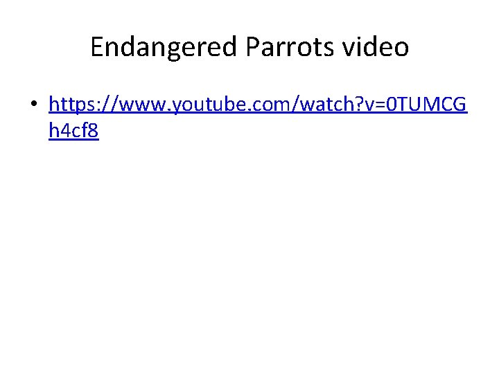 Endangered Parrots video • https: //www. youtube. com/watch? v=0 TUMCG h 4 cf 8