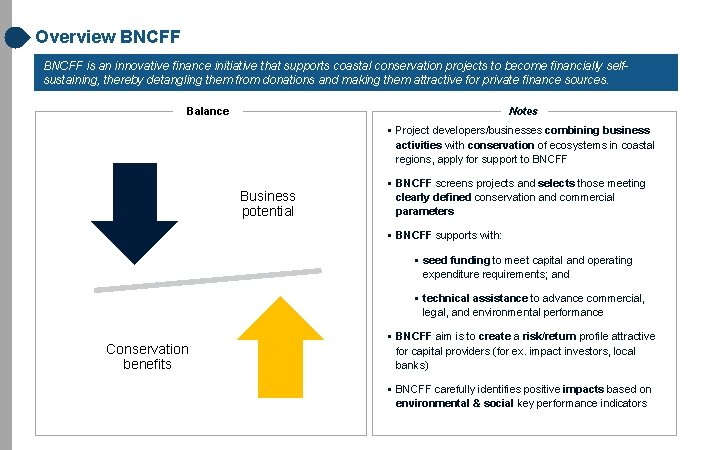 Overview BNCFF is an innovative finance initiative that supports coastal conservation projects to become