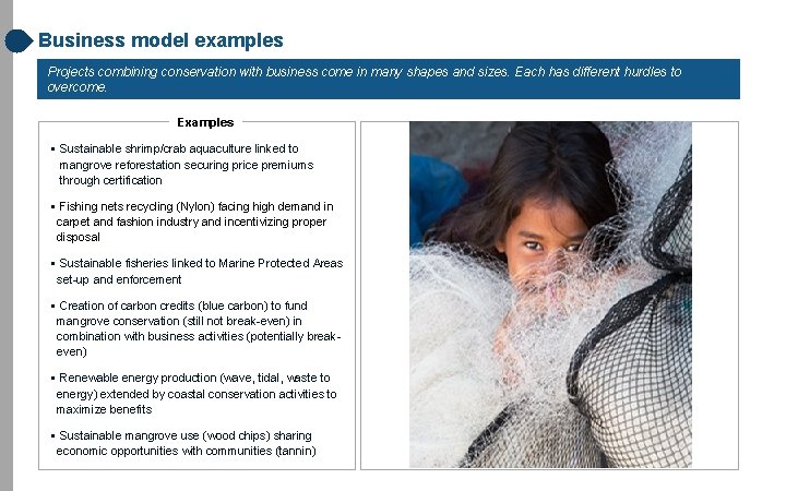 Business model examples Projects combining conservation with business come in many shapes and sizes.