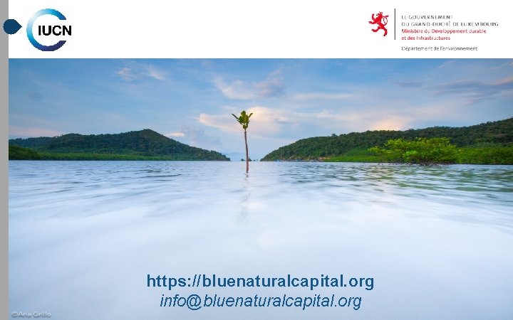 https: //bluenaturalcapital. org info@bluenaturalcapital. org 