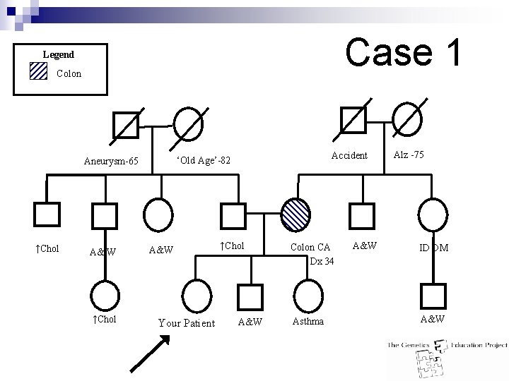 Case 1 Legend Colon ↑Chol A& W ↑Chol Accident ‘Old Age’-82 Aneurysm-65 A&W Your