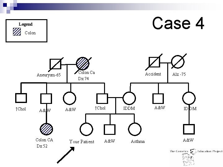 Case 4 Legend Colon Ca Dx 74 Aneurysm-65 ↑Chol A& W Colon CA Dx