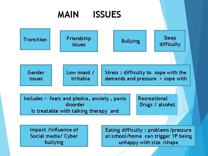 MAIN Transition Gender issues ISSUES Friendship issues Low mood / irritable Bullying Stress :