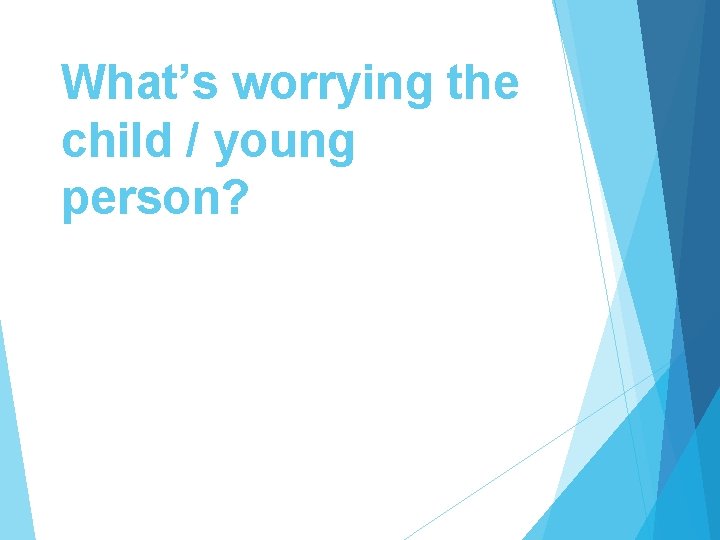 What’s worrying the child / young person? 