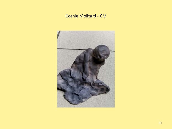 Cosnie Molitard - CM 53 