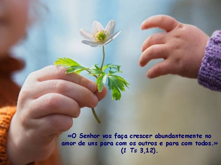  «O Senhor vos faça crescer abundantemente no amor de uns para com os