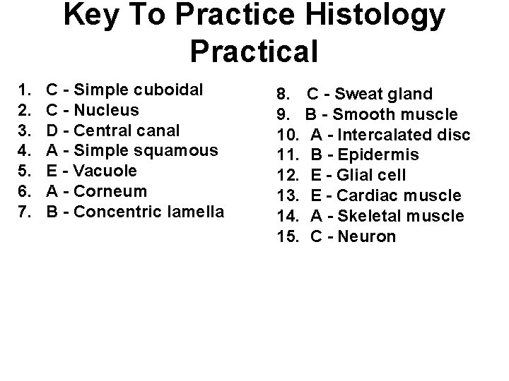 Key To Practice Histology Practical 1. 2. 3. 4. 5. 6. 7. C -