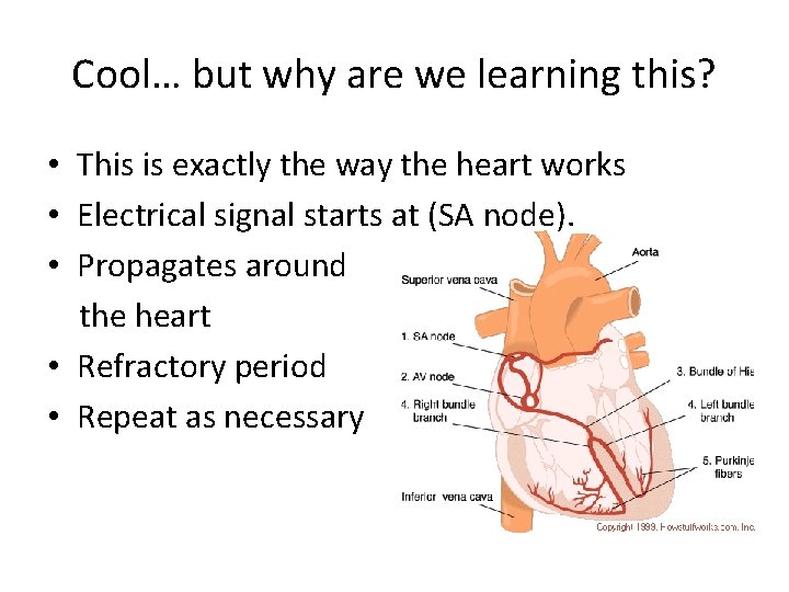 Cool… but why are we learning this? • This is exactly the way the