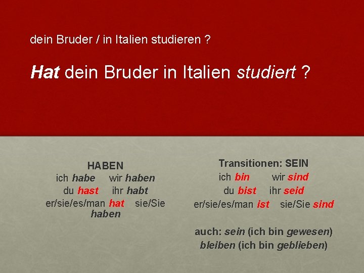 dein Bruder / in Italien studieren ? Hat dein Bruder in Italien studiert ?