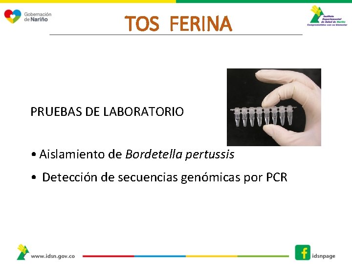 TOS FERINA PRUEBAS DE LABORATORIO • Aislamiento de Bordetella pertussis • Detección de secuencias