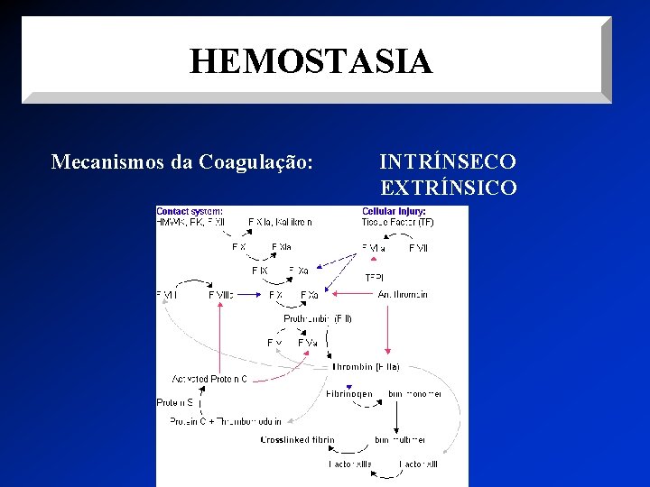 HEMOSTASIA Mecanismos da Coagulação: INTRÍNSECO EXTRÍNSICO 