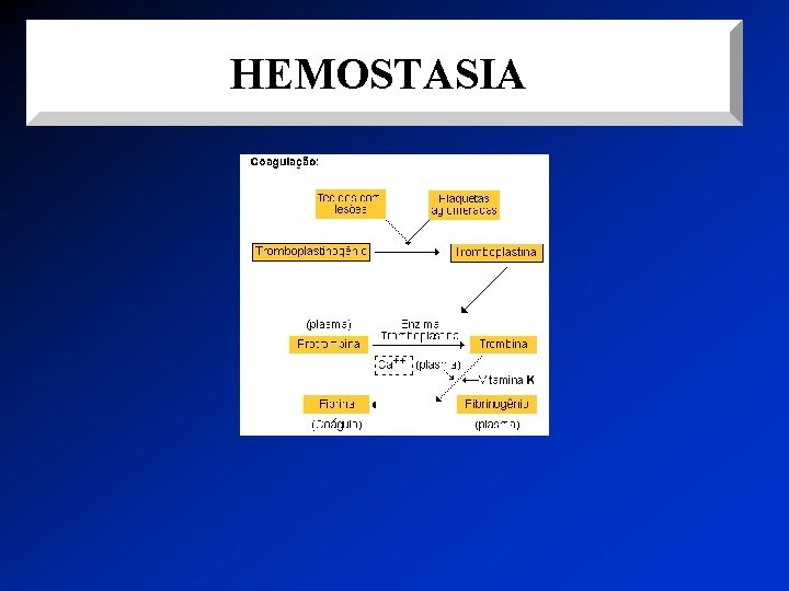 HEMOSTASIA 