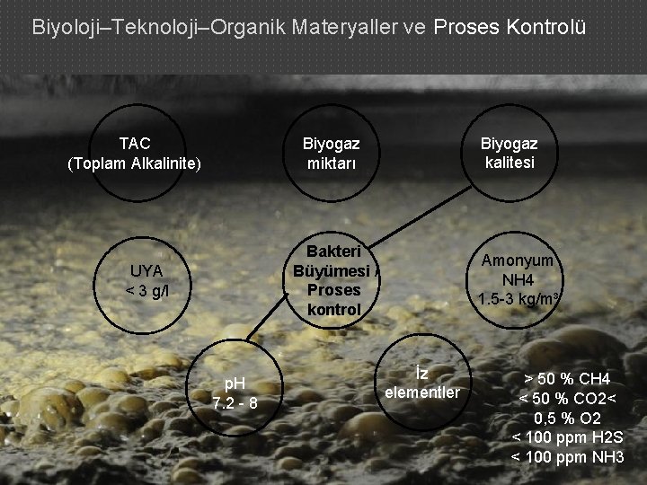 Biyoloji–Teknoloji–Organik Materyaller ve Proses Kontrolü TAC (Toplam Alkalinite) Bakteri Büyümesi / Proses kontrol UYA