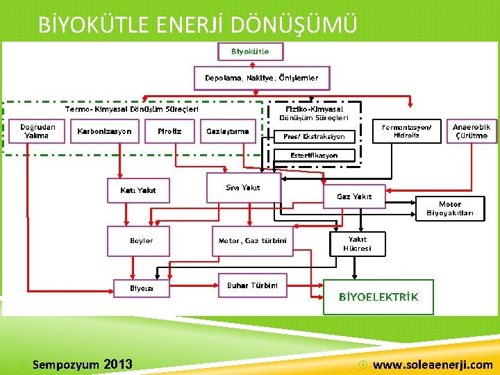 BİYOKÜTLE ENERJİ DÖNÜŞÜMÜ Sempozyum 2013 www. soleaenerji. com 