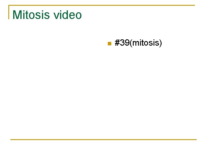 Mitosis video n #39(mitosis) 