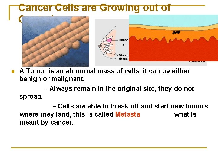 Cancer Cells are Growing out of Control n A Tumor is an abnormal mass